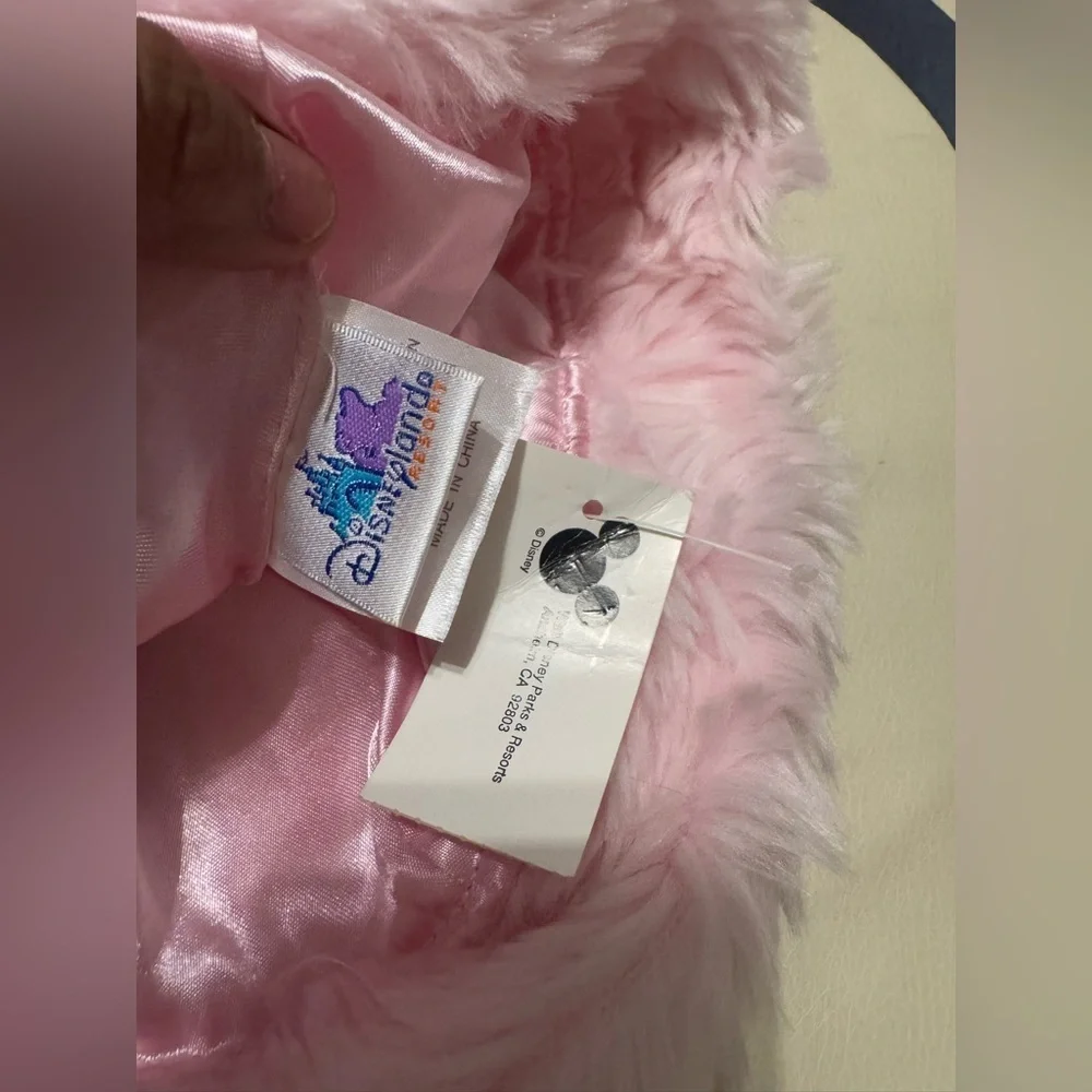 Disneyland Resort PRINCESS beanie